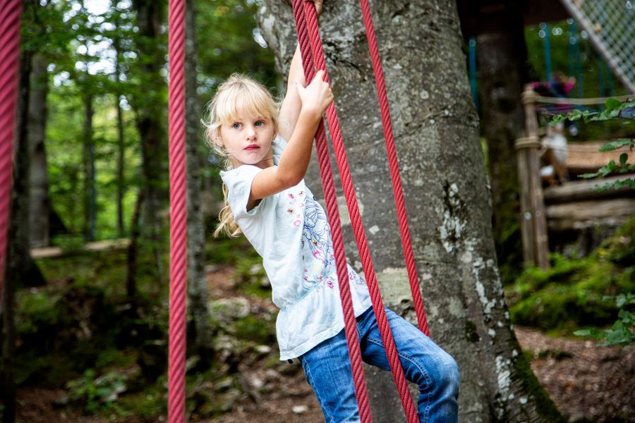 Ein junges, blondes Mädchen klettert im Wald auf Seilen im Outdoorspielbereich entlang. Ein junges, blondes Mädchen klettert im Wald auf Seilen im Outdoorspielbereich entlang.